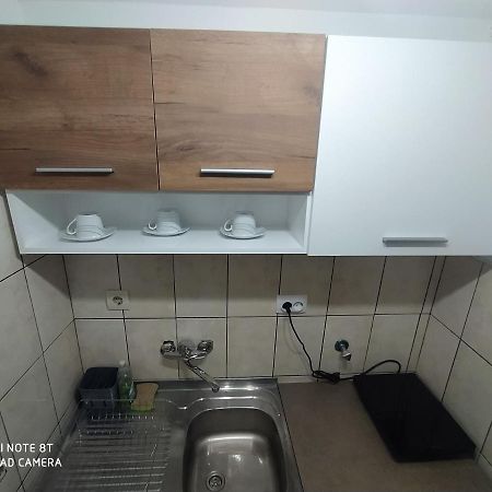 Apartman Studio Pavle I Petra Сремски-Карловци Экстерьер фото