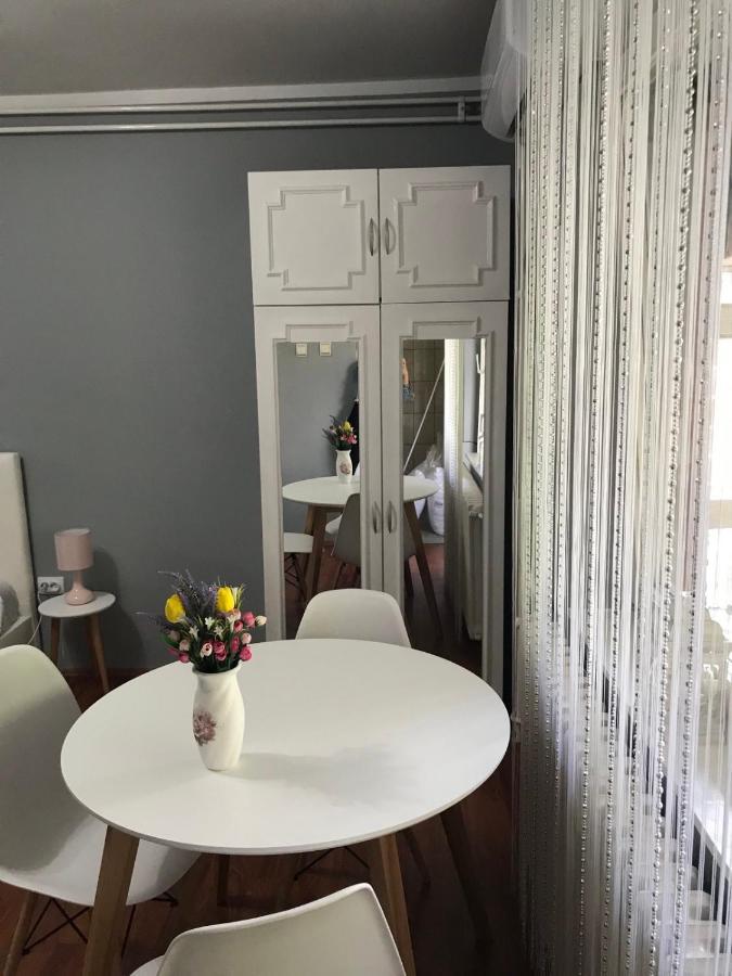 Apartman Studio Pavle I Petra Сремски-Карловци Экстерьер фото