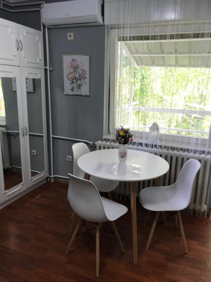 Apartman Studio Pavle I Petra Сремски-Карловци Экстерьер фото