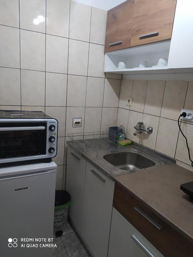 Apartman Studio Pavle I Petra Сремски-Карловци Экстерьер фото